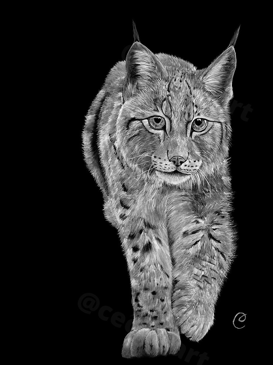 Lynx Aquarelle Peinture Impression Alu Art Mural Felin