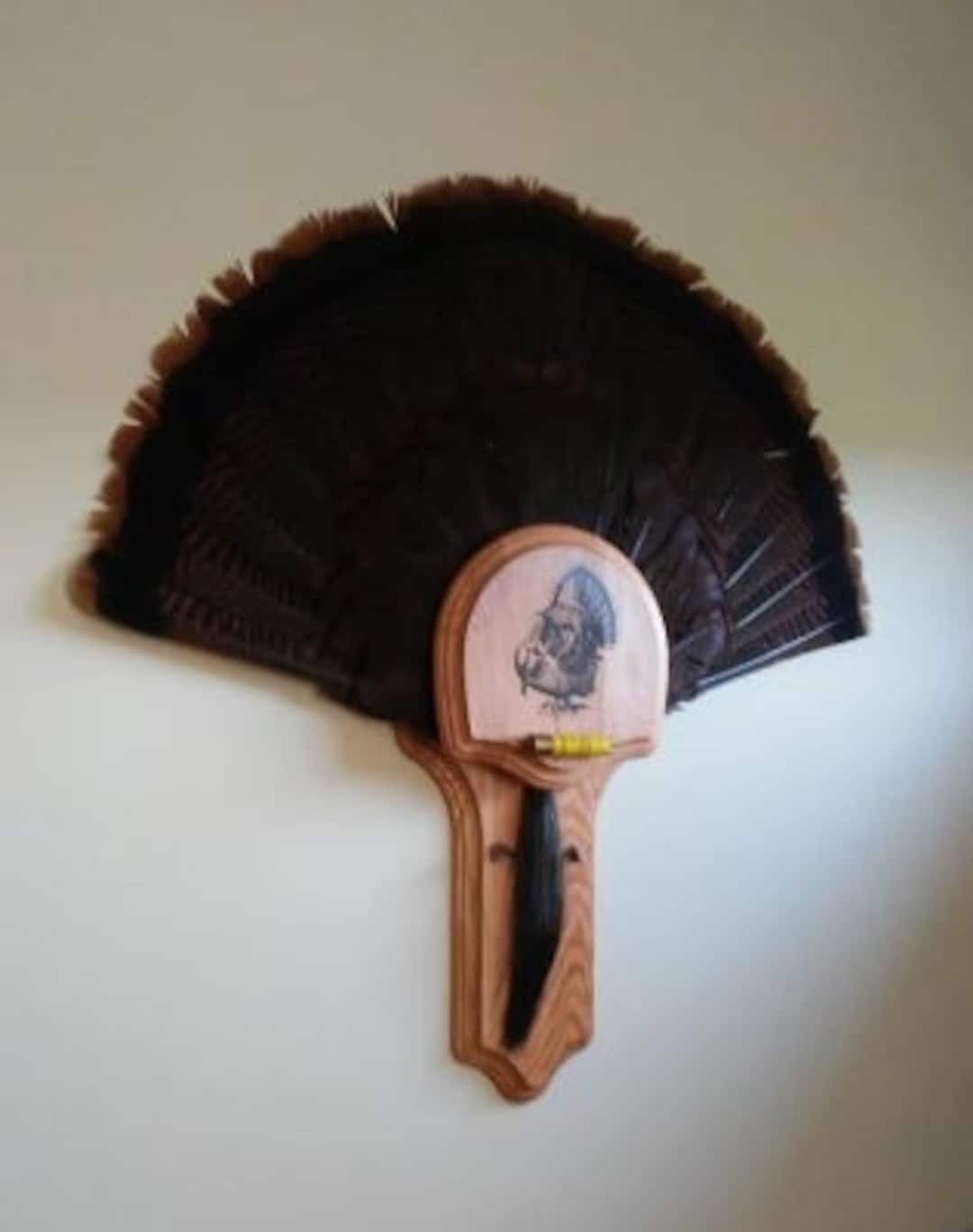 Wild Turkey Fan & Beard Mount Etsy
