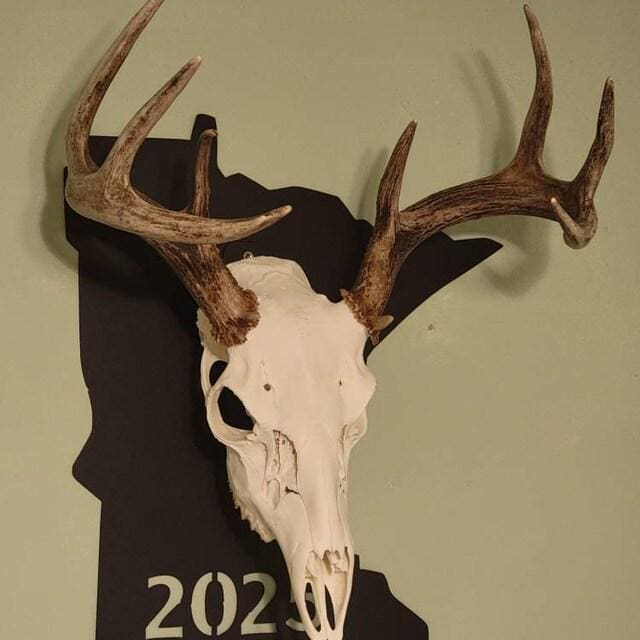 Png deer antlers taxidermy moustache pattern | Premium AI-generated image