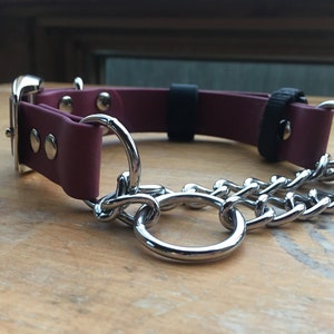 Chain Martingale Dog Collar