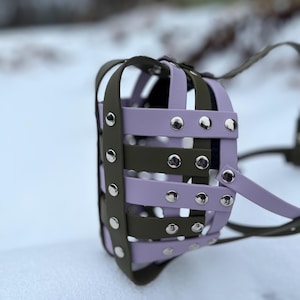 May include: A close-up of a dog muzzle in a basket weave design. The muzzle features alternating lavender and olive green straps secured with silver rivets. The background is blurred, with snow visible.