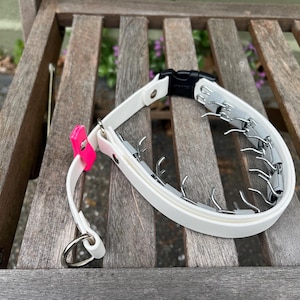 Biothane Hidden Prong Collar