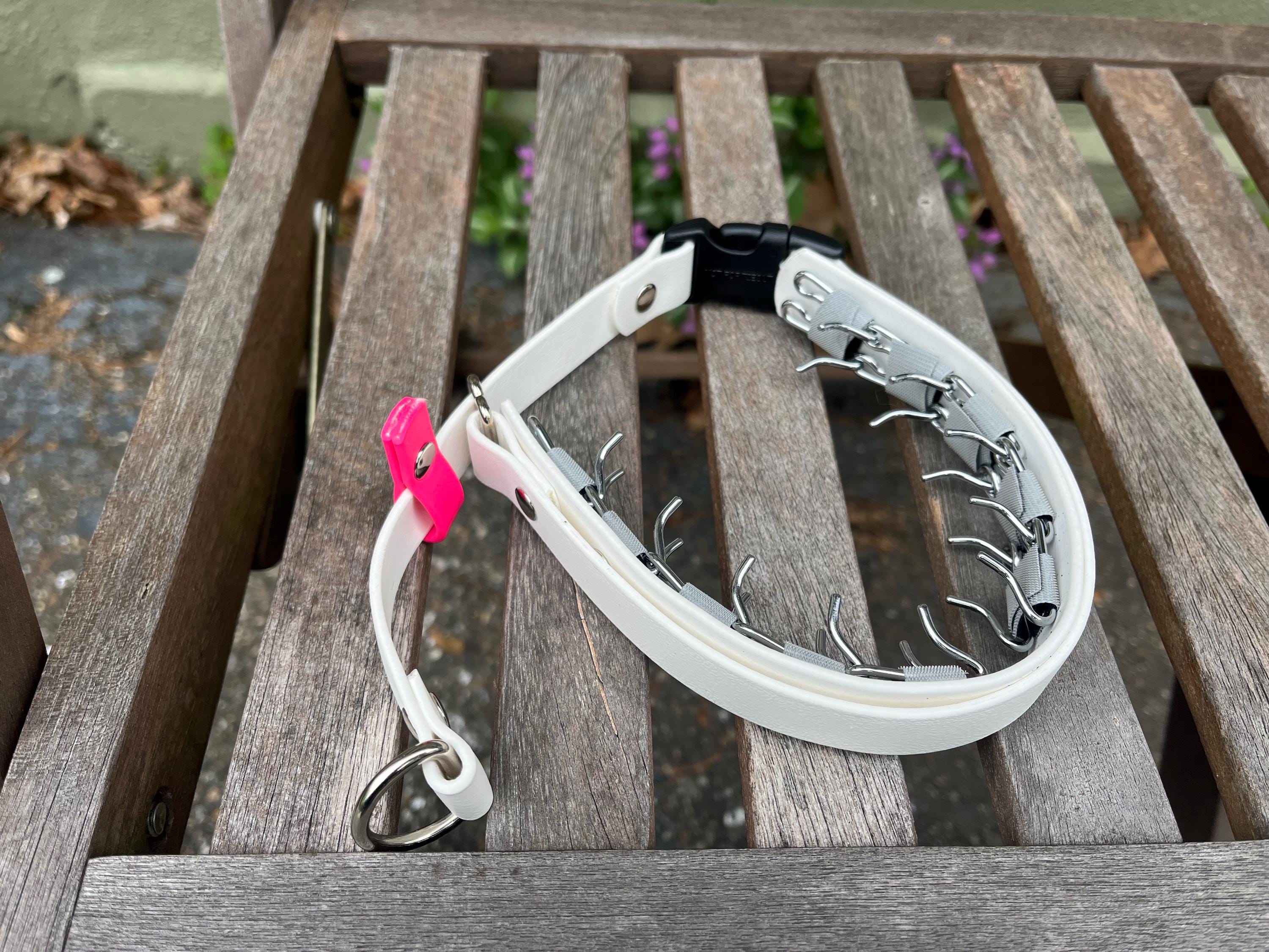 BioDogDesigns - Etsy 日本