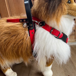 Y Front Working Dog Harness