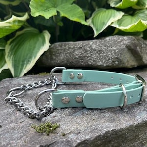 Chain Martingale Dog Collar