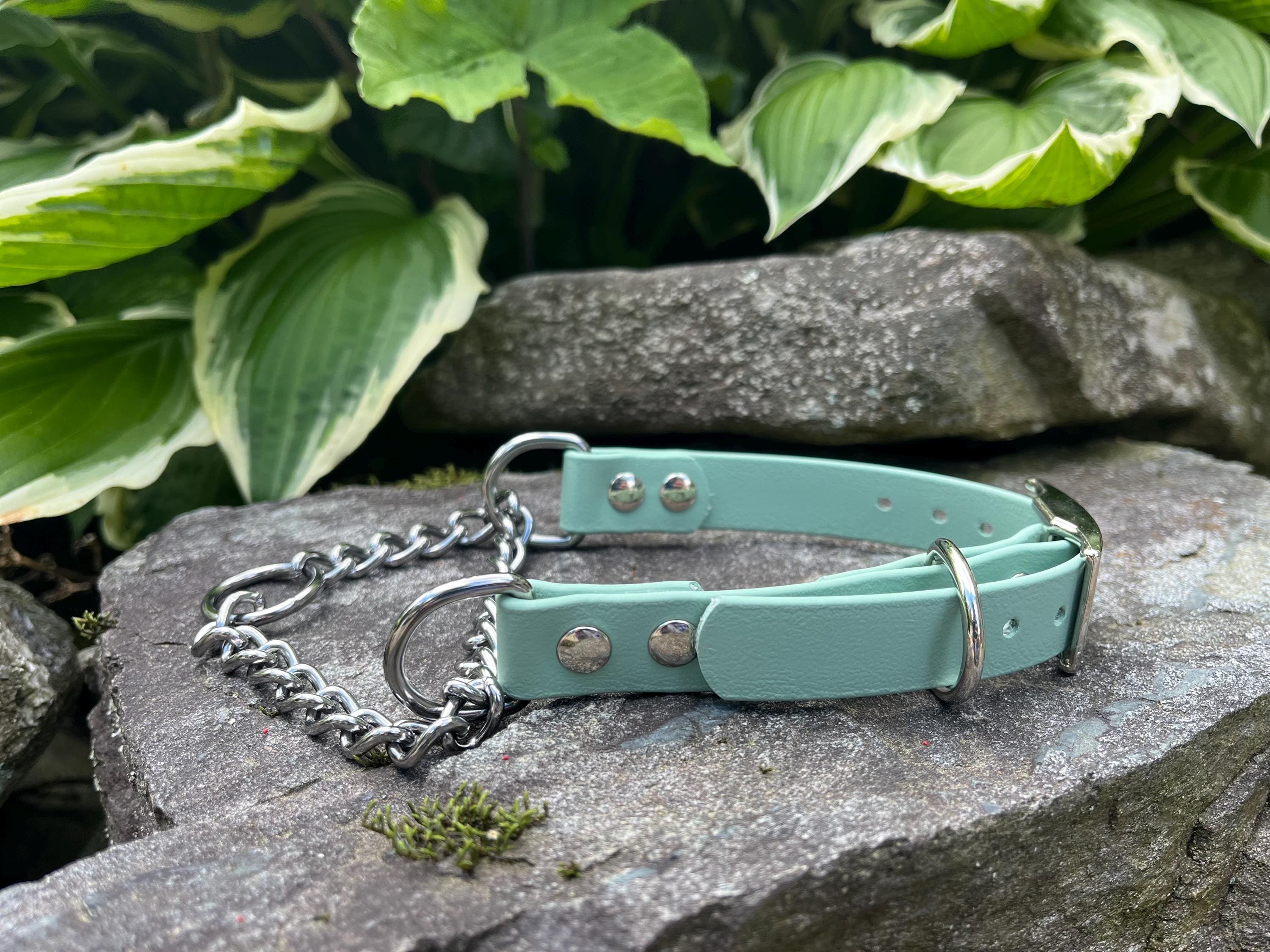 【いっぬさん専用】 BioDogDesigns - Etsy 日本