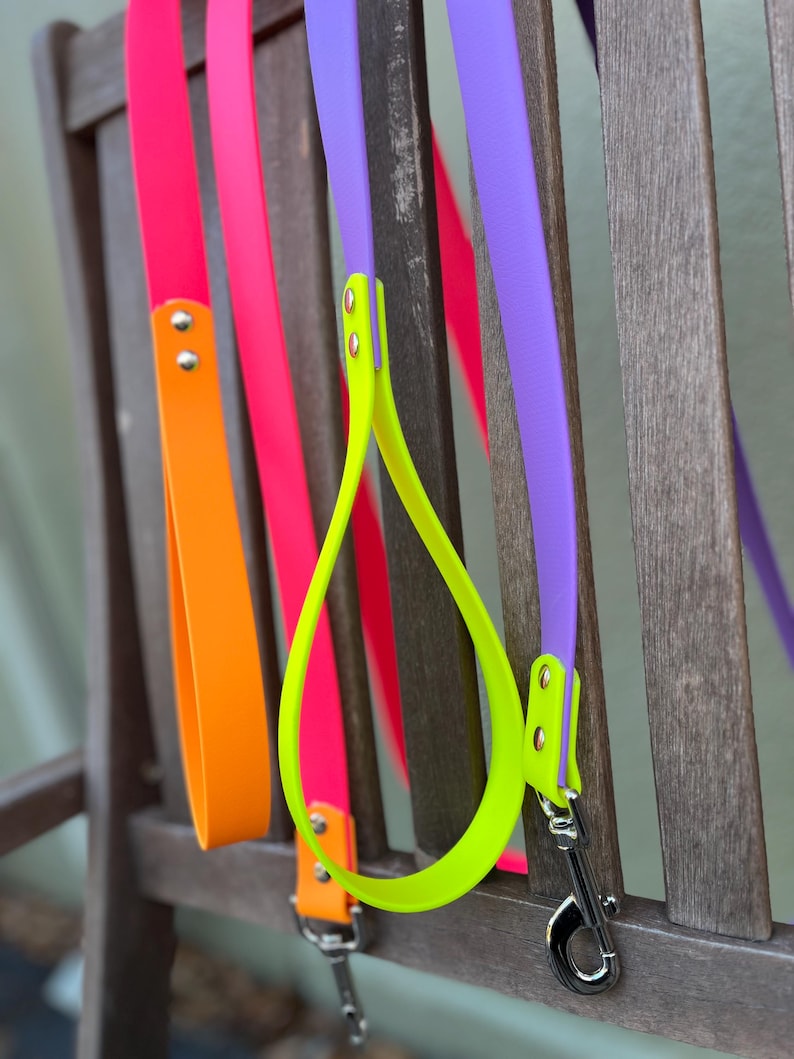 Biothane Dual Color Dog Leash - Etsy