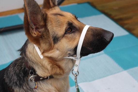 Gentle leader german shepherd sales