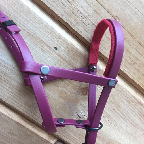 Black Padded Leather Dog Gentle Leader With Martingale Chain Etsy