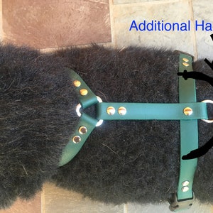 Biothane Dog Harness