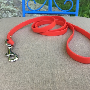 Biothane Dog Leash