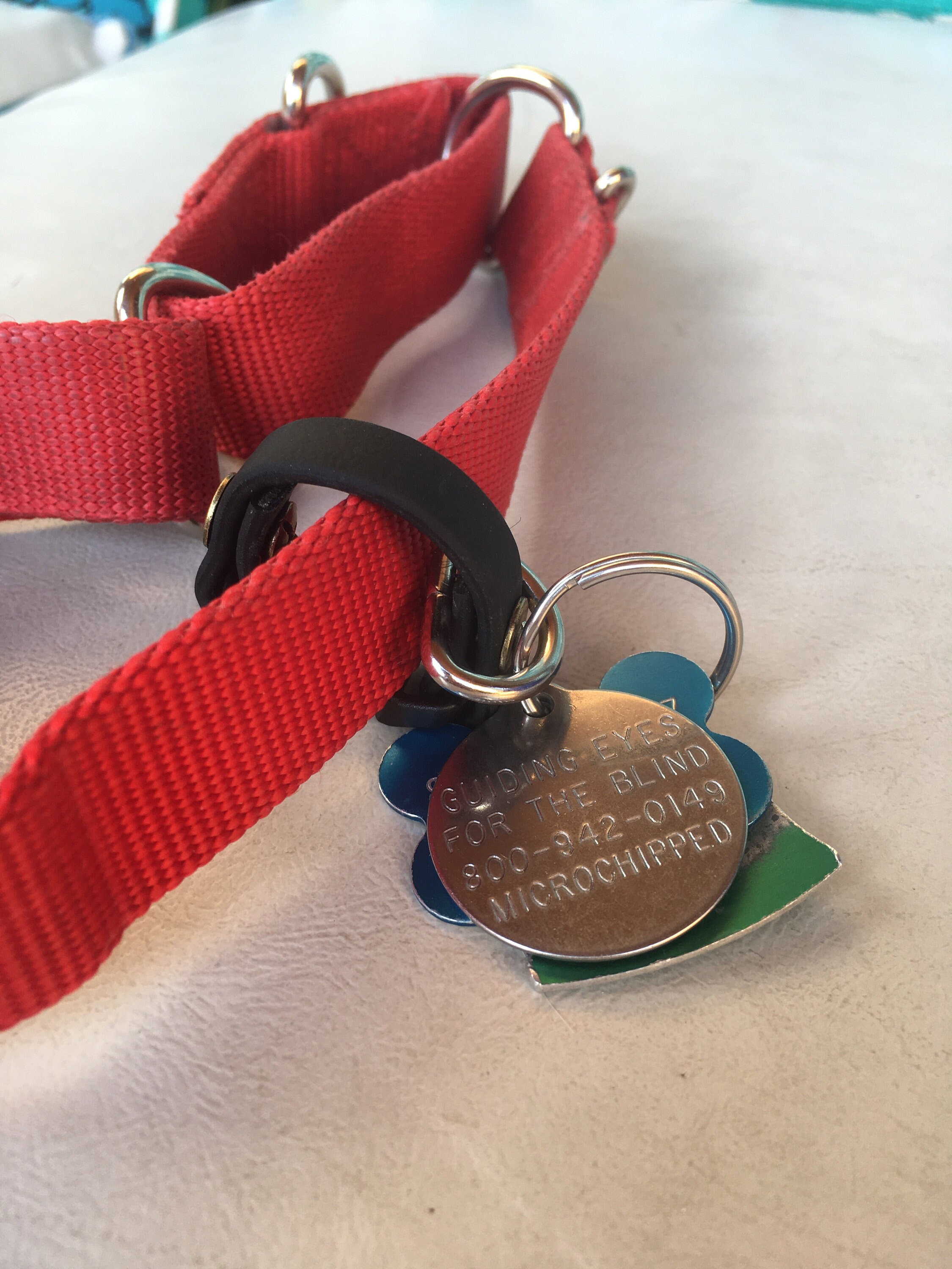 Dog Tag Holder Etsy Canada