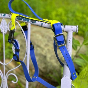 Puede incluir: Un arnés para mascota en color azul y amarillo neón con correas ajustables, una hebilla de plástico negra de liberación lateral y una hebilla de metal plateado. El arnés está hecho de un material liso y flexible con remaches plateados.