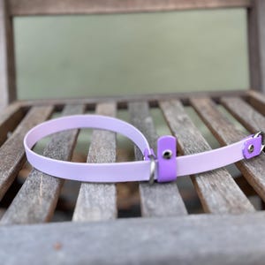 Biothane Dog Slip Collar