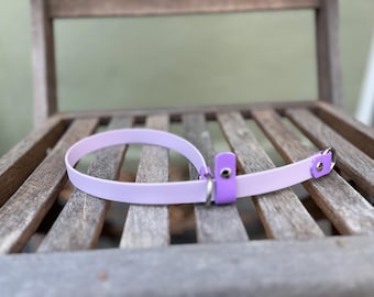 May include: A light purple dog collar with a matching purple buckle and silver hardware. The collar is made of a flexible material and is resting on a wooden chair.