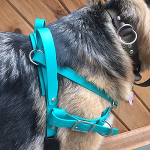 Working Dog Harness Upgrades