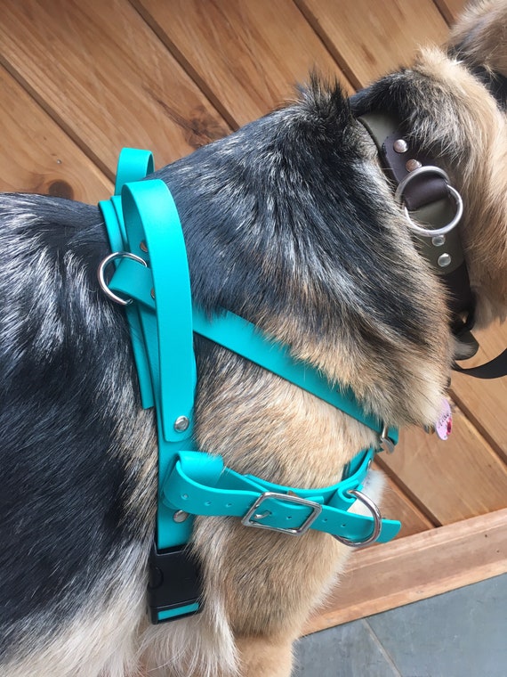 Working 2024 dog harness