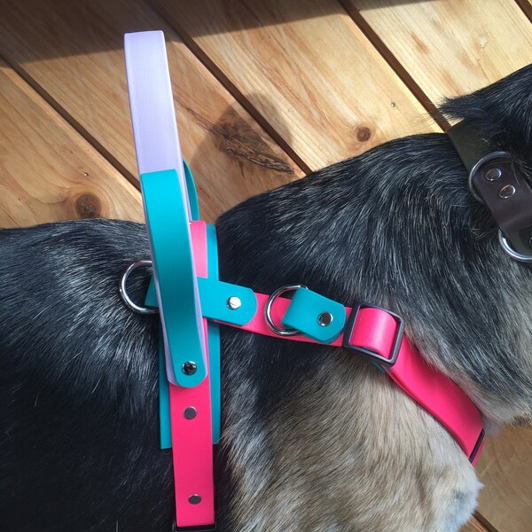 Working Dog Gear Etsy