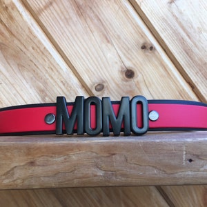 Biothane Name Dog Collar