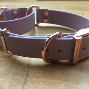 Martingale Biothane Dog Collar