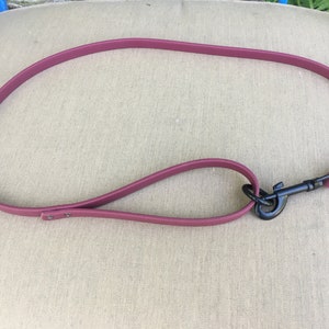 3 Foot Training Leash