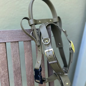 Y Front Working Dog Harness