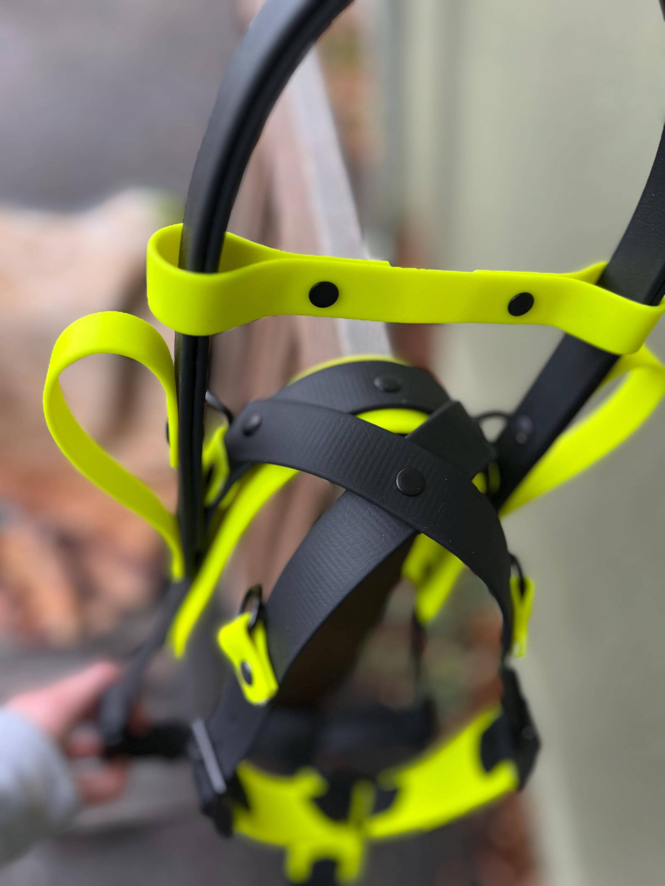 BioDogDesigns - Etsy 日本