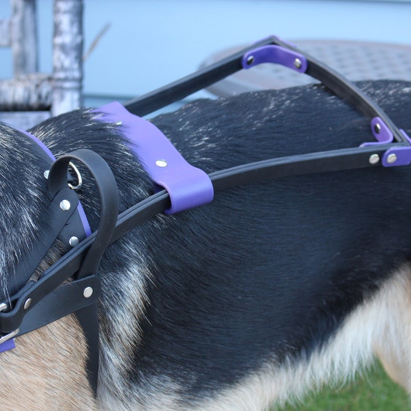 Guide Dog Handle Holder Etsy