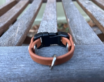 Clip on tag holder for Dog Collar