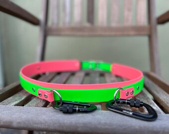 Biothane Dog Walking Belt