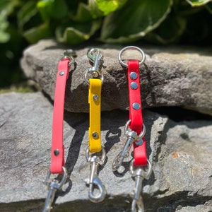 Dog collar safety clip