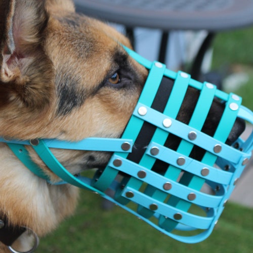 Werewolf Dog Muzzle With Blood Scary Doberman Muzzles Custom Etsy