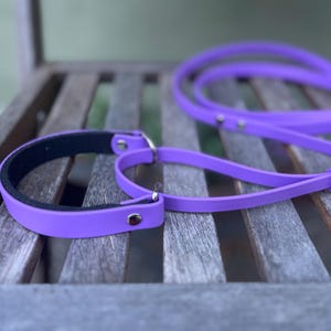 Martingale Leash Single Color