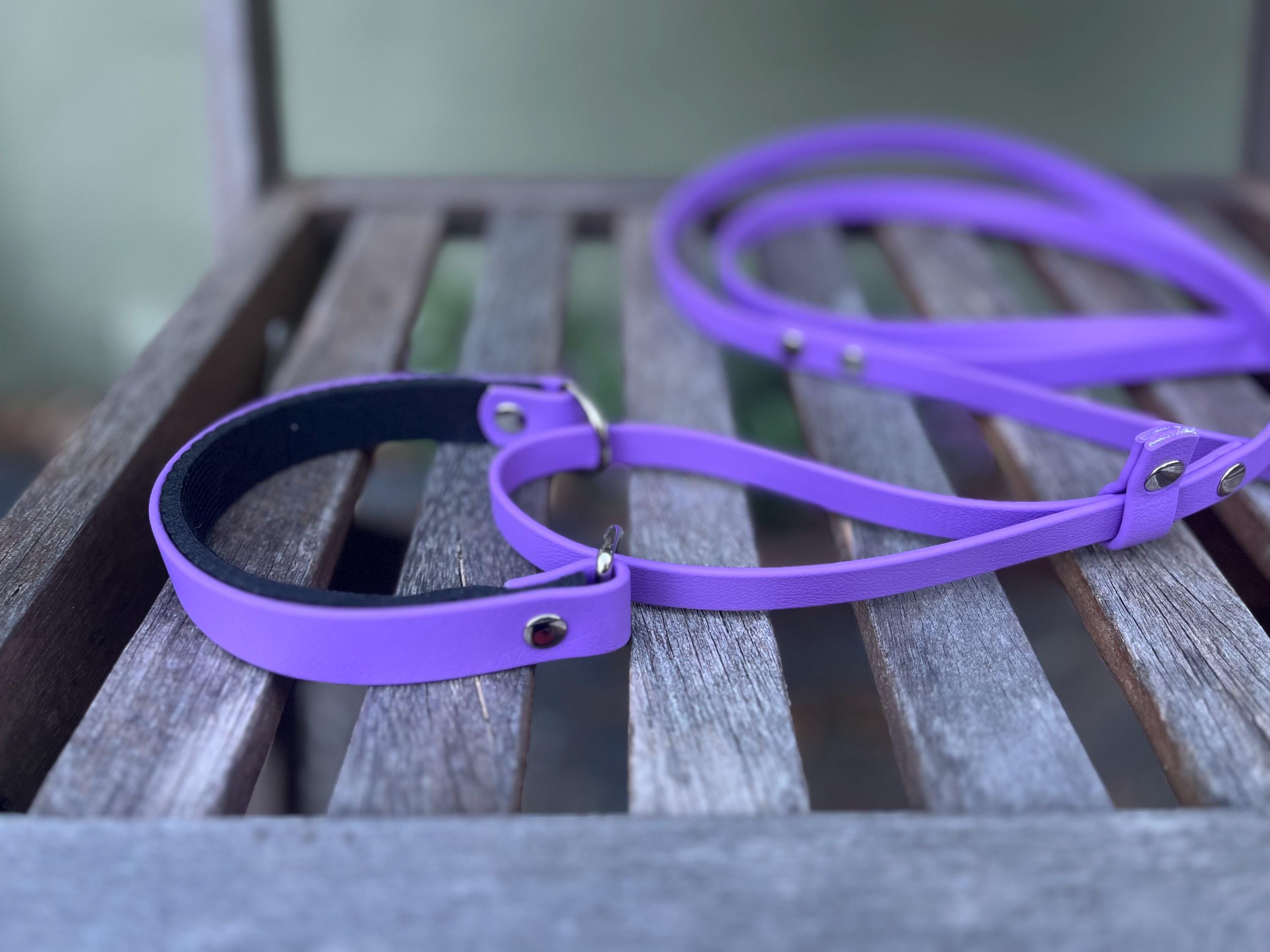 BioDogDesigns - Etsy 日本