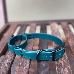 Martingale Biothane Dog Collar
