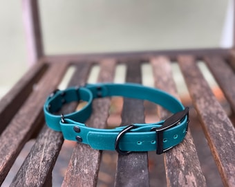 Könnte beinhalten: Türkisfarbenes Hundehalsband mit schwarzer Metallschnalle und Beschlägen. Das Halsband besteht aus einem flexiblen Material und wird auf einer Holzoberfläche gezeigt. Das Halsband hat eine passende Schlaufe zum Anbringen der Leine.