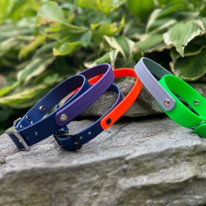 Biothane Dog Collar with Handle