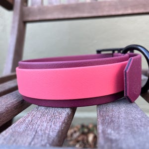 Dual Layer Biothane Dog Collar