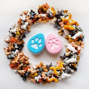 May include: A circular arrangement of miniature animal figurines, mainly dogs and cats. Two paw-shaped bath bombs, one blue and one pink, are centrally positioned. The figurines are in diverse colours and poses, creating a playful aesthetic.