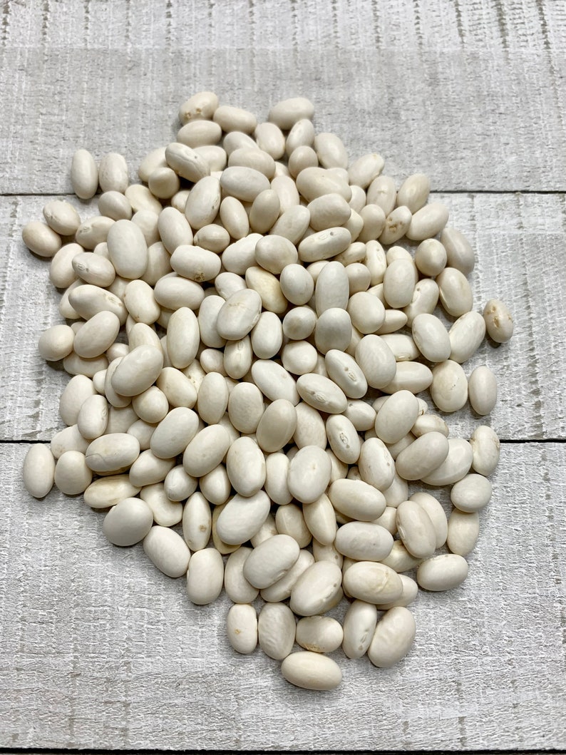 White Half Runner Green Bean Seeds