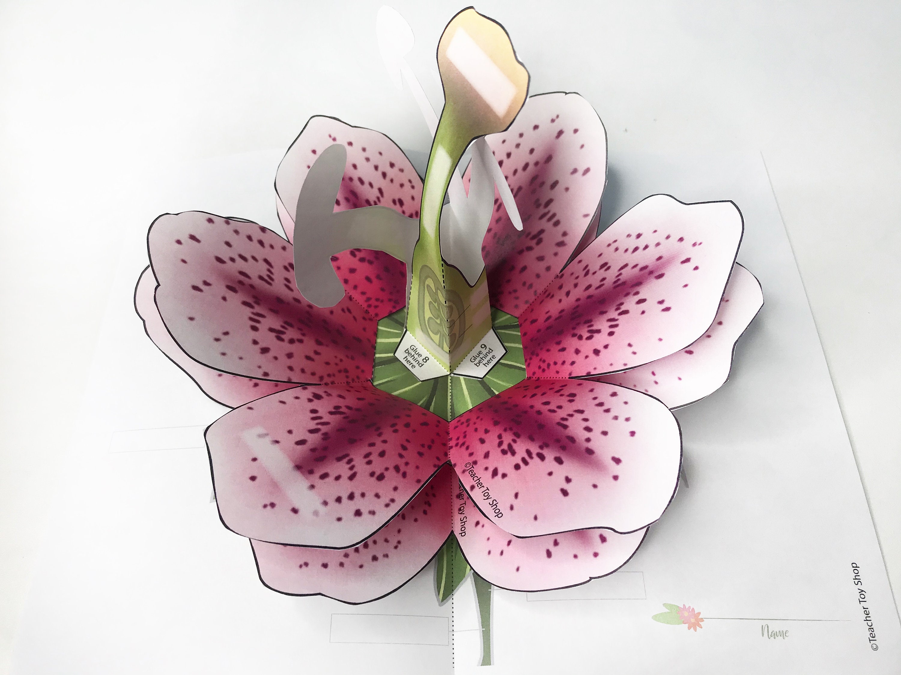 Pop-up Flower Printable Flower Card - Etsy