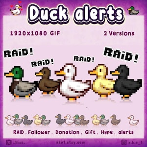 Könnte beinhalten: Eine digitale Grafik mit dem Titel Duck alerts zeigt Pixel-Art von fünf Enten in Grün, Braun, Weiß, Gelb und Schwarz. Über jeder Ente steht der Text RAID!. Darunter sind kleinere Enten in einer Reihe angeordnet mit dem Text RAID, Follower, Donation, Gift, Hype, alerts. Das Bild gibt 1920x1080 GIF und 2 Versions an.