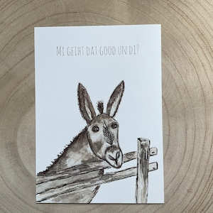 Postkarte Esel