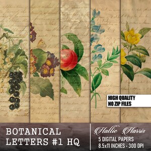 Cartas botánicas #1 - Papel floral enmarcable Alto-Res Imprimible Digital Descargar 5 Páginas 8.5x11