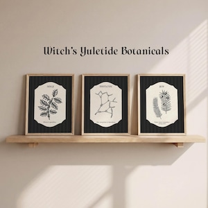 Yuletide Giftige botanische Wand-Kunst-Set von 3, gotische Weihnachtspflanzendrucke (digitaler Download)