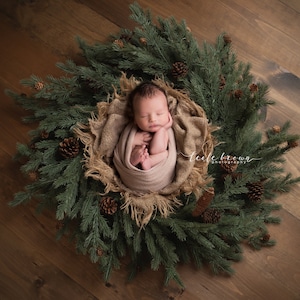 Newborn Digital Backdrop, Newborn Digital Background, Winter Wreath Backdrop, Christmas Newborn Photography Backdrop, Pine Wreath Backdrop
