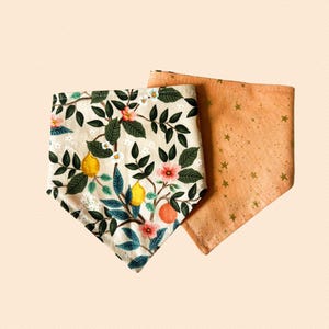 Citrus Sky, Reversible Snap-on Pet Bandana, for Cats and Dogs, Cat Bandana, Dog Bandana, Dog and Cat Mom Gifts, Dog Scarf