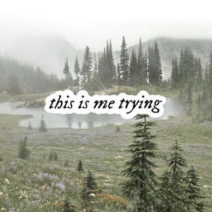 May include: A misty forest scene with a lake in the foreground and a sticker that reads "this is me trying" on the ground.