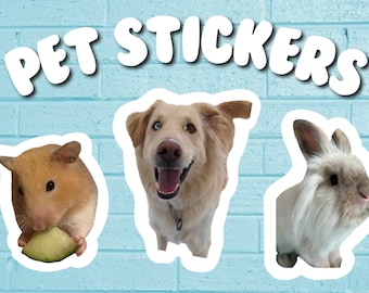 May include: Three pet stickers on a blue brick background. The stickers feature a hamster eating a green piece of food, a golden retriever dog, and a white rabbit.