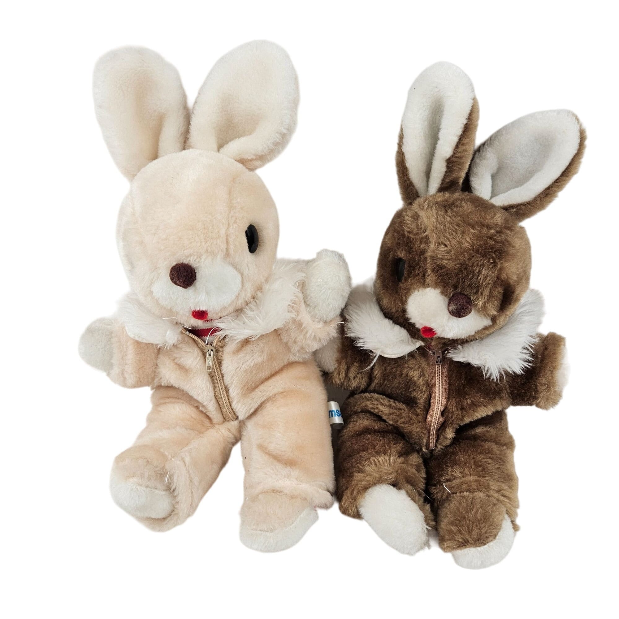 Rabbit Aivituvin Rabbit Hutch with Runs | Waterproof Bunny Hutch